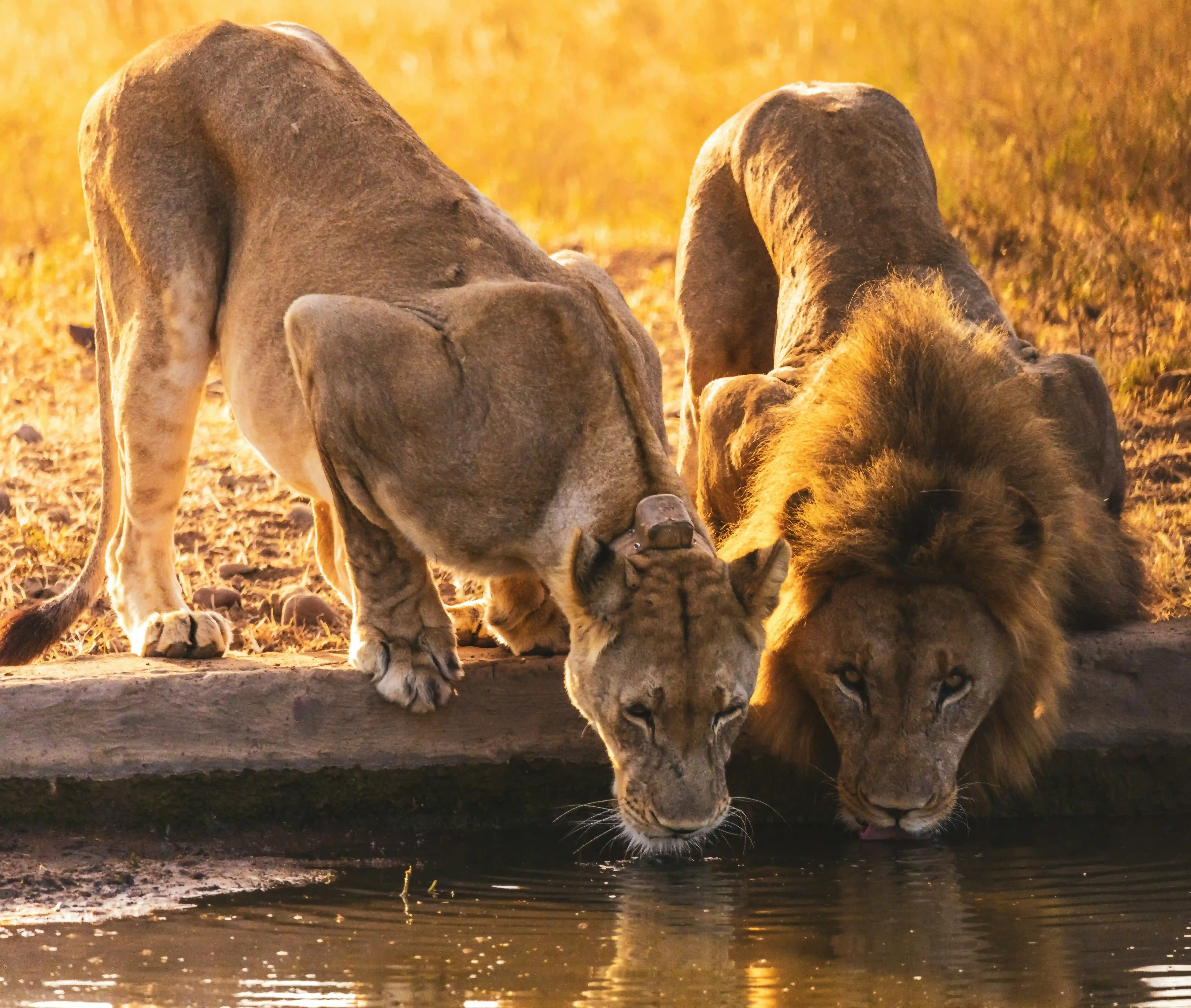 7 Days Romantic Zanzibar